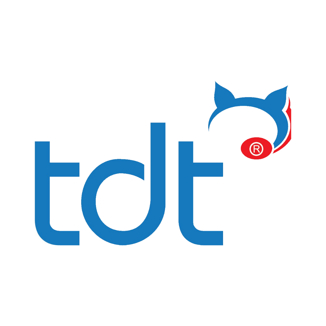 TDT Logo